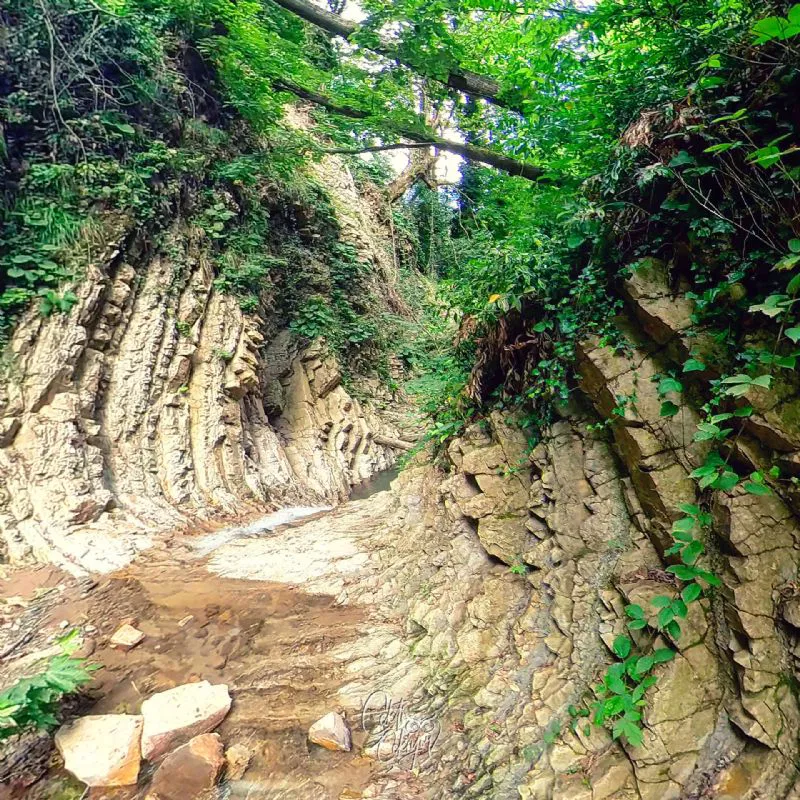 Harmankaya Şelalesi